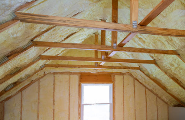 Best Insulation Removal  in Bellaire, TX