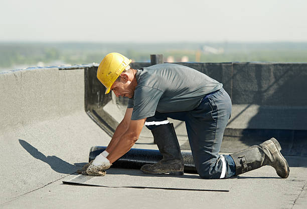 Professional Insulation Contractor in Bellaire, TX