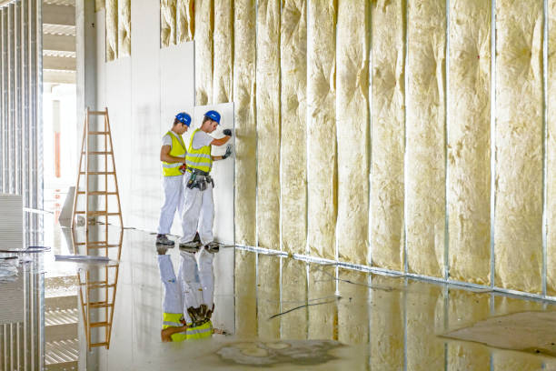 Best Local Insulation Services  in Bellaire, TX